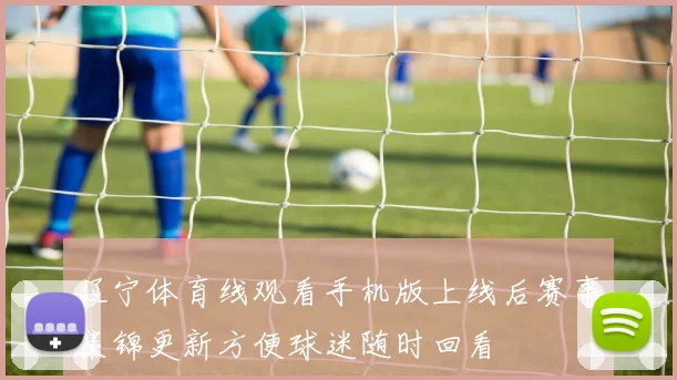 辽宁体育线观看手机版上线后赛事集锦更新方便球迷随时回看
