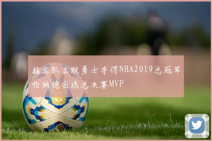 猛龙队击败勇士夺得NBA2019总冠军伦纳德当选总决赛MVP