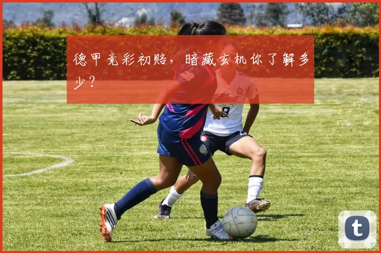 德甲竞彩初赔,暗藏玄机你了解多少?